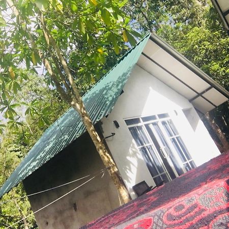 Little wood villa Doluwa Kandy Esterno foto