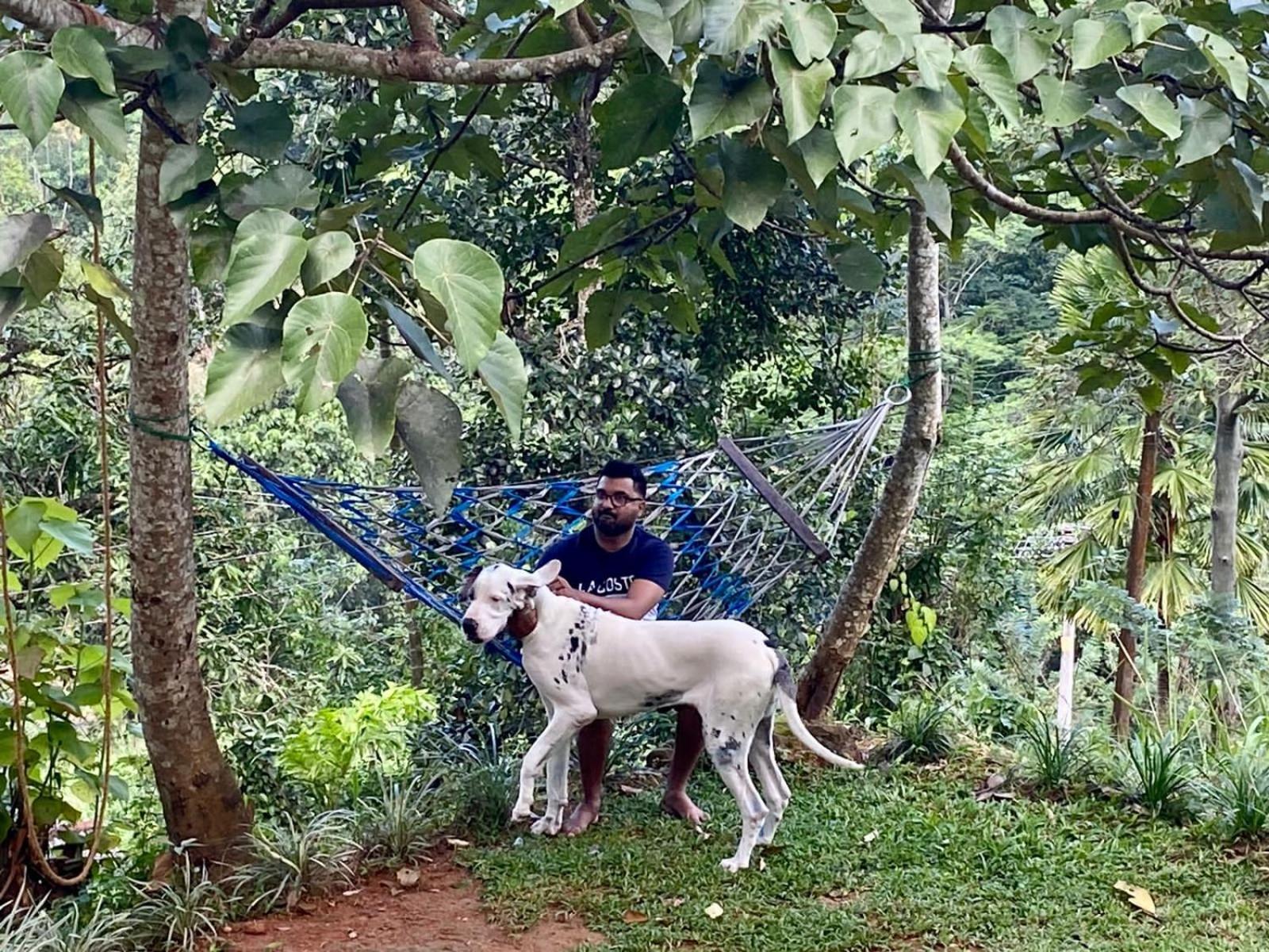 Little wood villa Doluwa Kandy Esterno foto